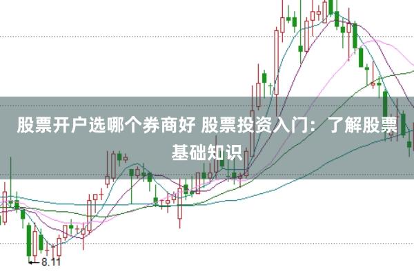 股票开户选哪个券商好 股票投资入门：了解股票基础知识