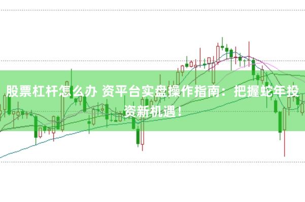 股票杠杆怎么办 资平台实盘操作指南：把握蛇年投资新机遇！