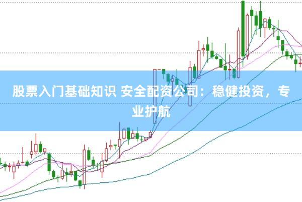 股票入门基础知识 安全配资公司：稳健投资，专业护航