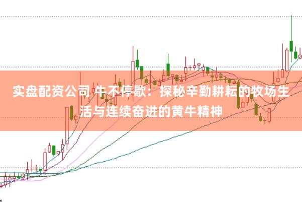 实盘配资公司 牛不停歇：探秘辛勤耕耘的牧场生活与连续奋进的黄牛精神