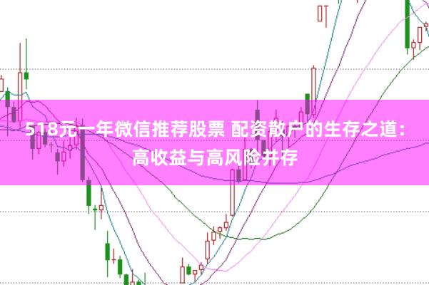 518元一年微信推荐股票 配资散户的生存之道：高收益与高风险并存