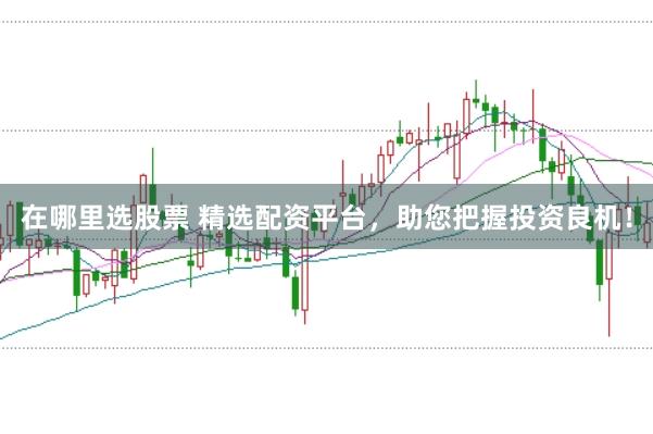 在哪里选股票 精选配资平台，助您把握投资良机！