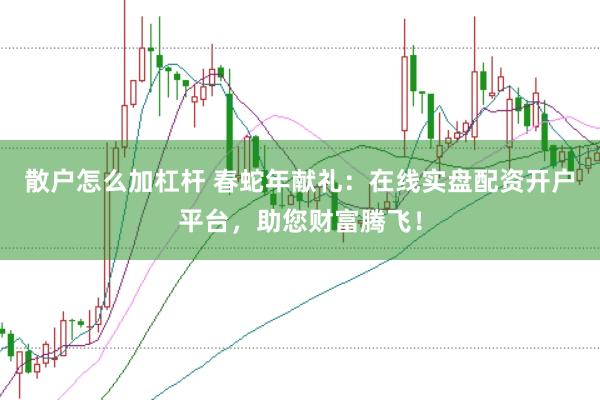 散户怎么加杠杆 春蛇年献礼：在线实盘配资开户平台，助您财富腾飞！