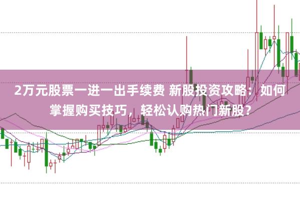 2万元股票一进一出手续费 新股投资攻略：如何掌握购买技巧，轻松认购热门新股？