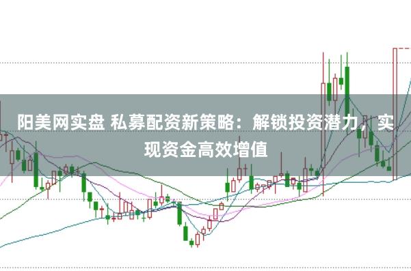 阳美网实盘 私募配资新策略：解锁投资潜力，实现资金高效增值