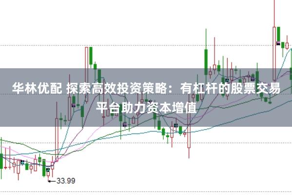 华林优配 探索高效投资策略：有杠杆的股票交易平台助力资本增值