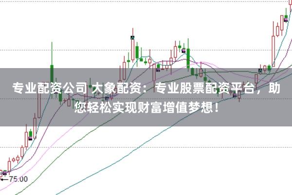 专业配资公司 大象配资：专业股票配资平台，助您轻松实现财富增值梦想！