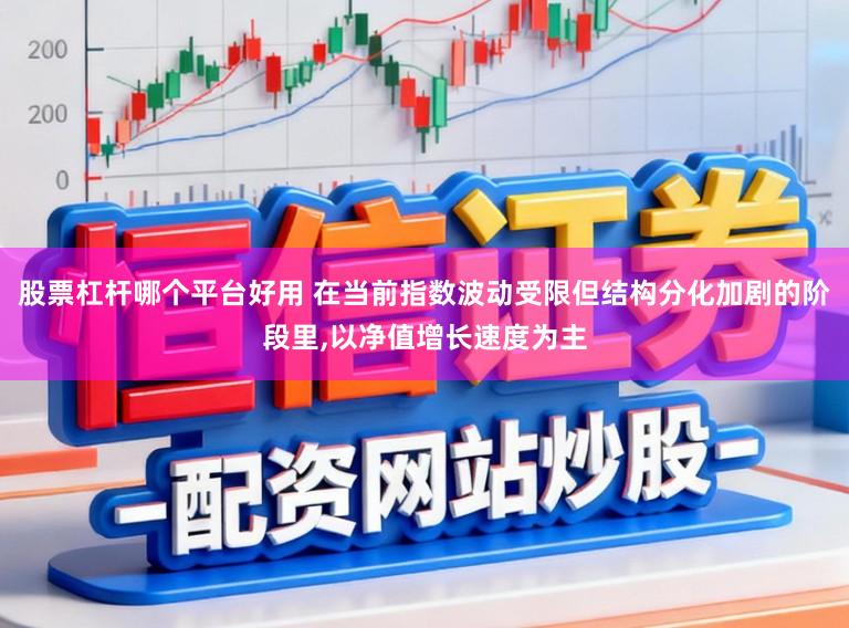 股票杠杆哪个平台好用 在当前指数波动受限但结构分化加剧的阶段里，以净值增长速度为主