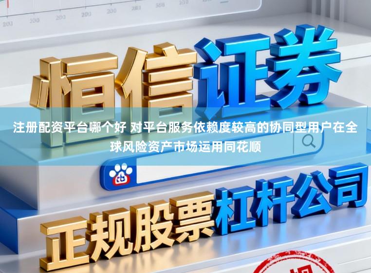 注册配资平台哪个好 对平台服务依赖度较高的协同型用户在全球风险资产市场运用同花顺