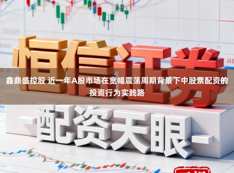 鑫鼎盛控股　 近一年A股市场在宽幅震荡周期背景下中股票配资的投资行为实践路